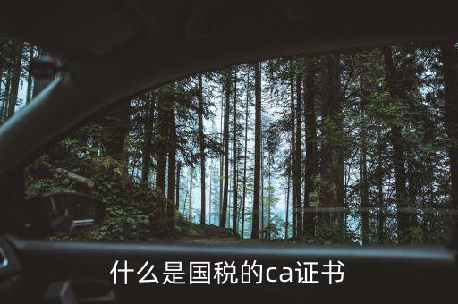 ca稅務數(shù)字證書是什么，什么是國稅的ca證書