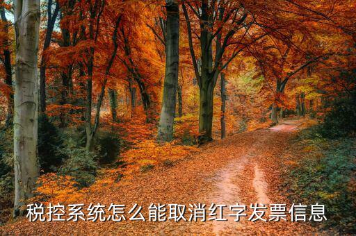 撤銷紅字信息表需要什么，我是購(gòu)貨方開(kāi)具紅字信息表錯(cuò)誤去稅務(wù)局撤銷信息表查看描寫(xiě)