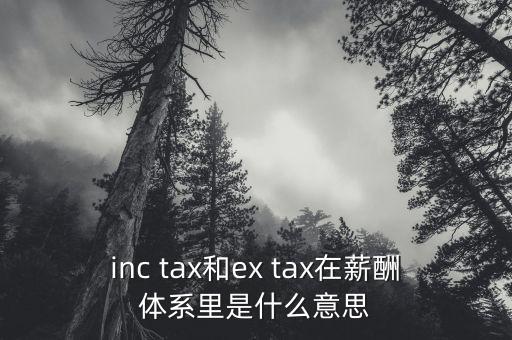 inc tax和ex tax在薪酬體系里是什么意思