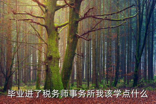 納稅人學堂講什么，稅務(wù)實務(wù)課講什么