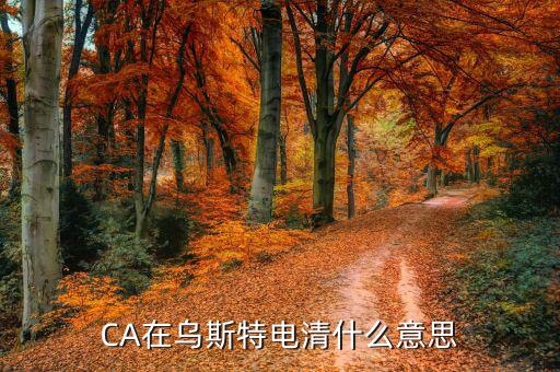 ca控件什么意思，CA在烏斯特電清什么意思