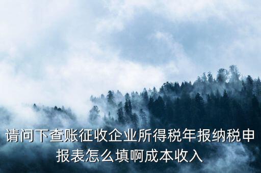 請(qǐng)問(wèn)下查賬征收企業(yè)所得稅年報(bào)納稅申報(bào)表怎么填啊成本收入