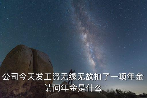 公司今天發(fā)工資無緣無故扣了一項(xiàng)年金請問年金是什么