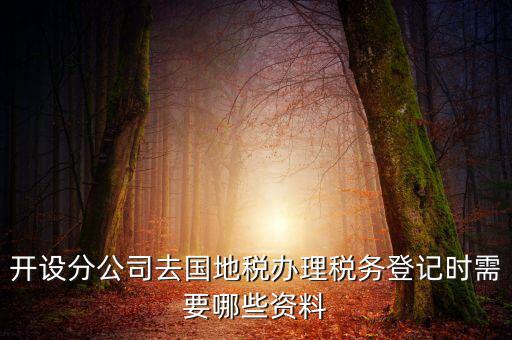 分公司地稅辦理需要什么材料，辦理分公司的稅務登記證需要準備哪些資料