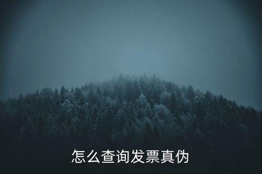 怎么查詢發(fā)票真?zhèn)? class=