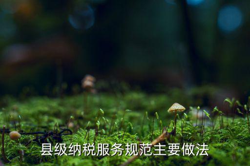 如何納稅的便民措施，如何提高納稅人滿意度 中國稅務(wù)報