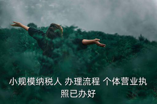 小規(guī)模納稅人 辦理流程 個體營業(yè)執(zhí)照已辦好