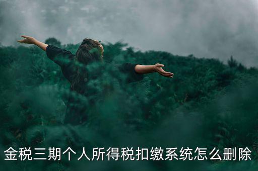 金稅三期個(gè)人所得稅扣繳系統(tǒng)怎么刪除