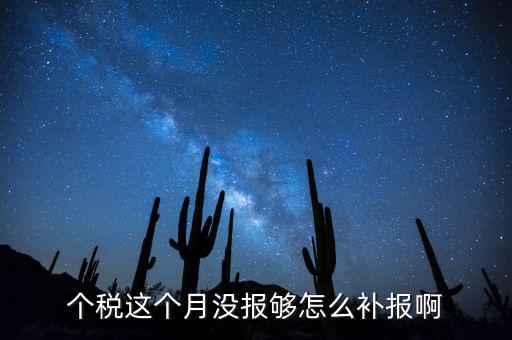 如何補(bǔ)報(bào)個(gè)人所得稅，個(gè)人所得稅報(bào)錯(cuò)了怎么補(bǔ)報(bào)