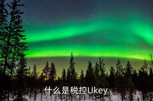 什么是稅控Ukey