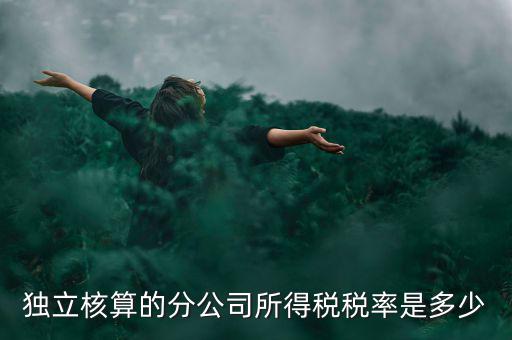 獨立核算的分公司如何納稅，誰知道獨立核算的同城分公司如何繳稅