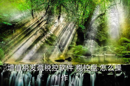 增值稅發(fā)票稅控軟件 稅控盤(pán) 怎么操作