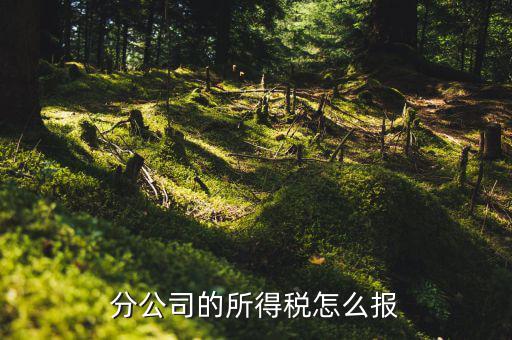 分公司的所得稅怎么報