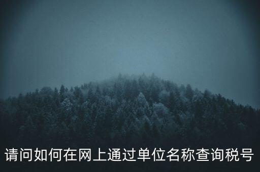 請(qǐng)問(wèn)如何在網(wǎng)上通過(guò)單位名稱(chēng)查詢(xún)稅號(hào)