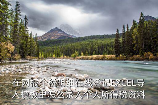 北京個稅明細(xì)申報(bào)如何導(dǎo)入，在網(wǎng)報(bào)個稅明細(xì)在線登記EXCEL導(dǎo)入模板里怎么錄入個人所得稅資料