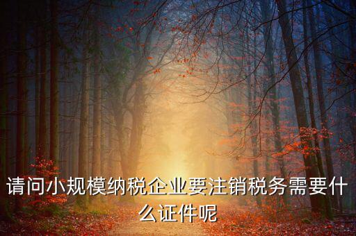 請(qǐng)問(wèn)小規(guī)模納稅企業(yè)要注銷稅務(wù)需要什么證件呢