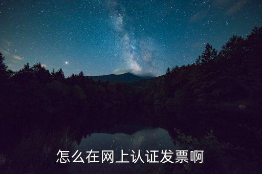 怎么在網(wǎng)上認(rèn)證發(fā)票啊