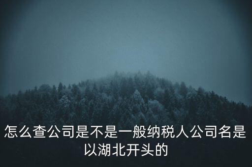 如何查詢企業(yè)是否是一般納稅人，怎么查公司是不是一般納稅人公司名是以湖北開頭的