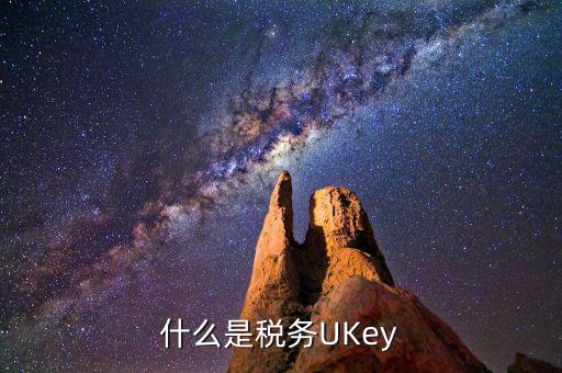 什么是稅務UKey