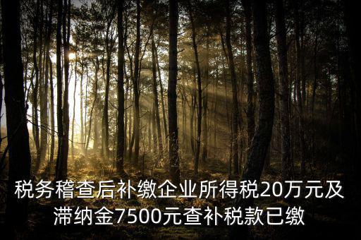 稅務(wù)稽查后補繳企業(yè)所得稅20萬元及滯納金7500元查補稅款已繳