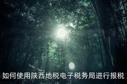 如何使用陜西地稅電子稅務(wù)局進行報稅