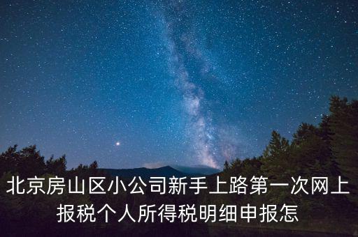 北京房山區(qū)小公司新手上路第一次網(wǎng)上報稅個人所得稅明細申報怎