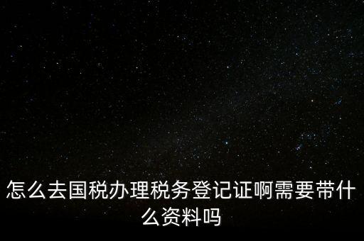 電子國稅如何稅務登記證，如何進行電子報稅的稅務登記