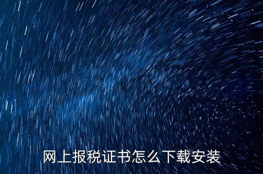 網(wǎng)上報稅證書怎么下載安裝