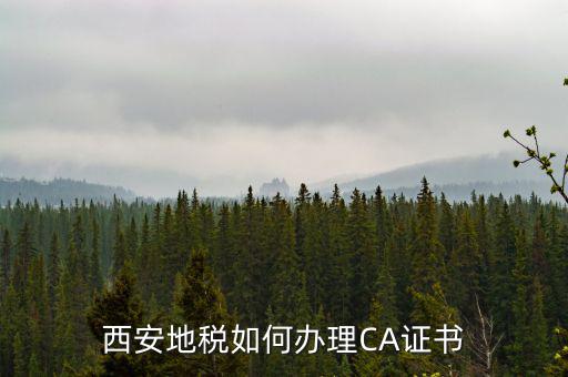 如何申請(qǐng)地稅ca證書，西安地稅如何辦理CA證書