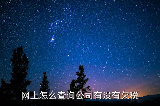 網(wǎng)上怎么查詢公司有沒有欠稅