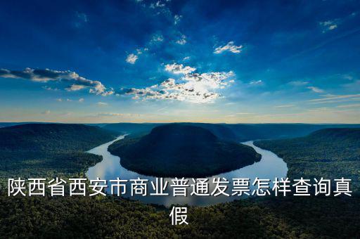 陜西省西安市商業(yè)普通發(fā)票怎樣查詢(xún)真假