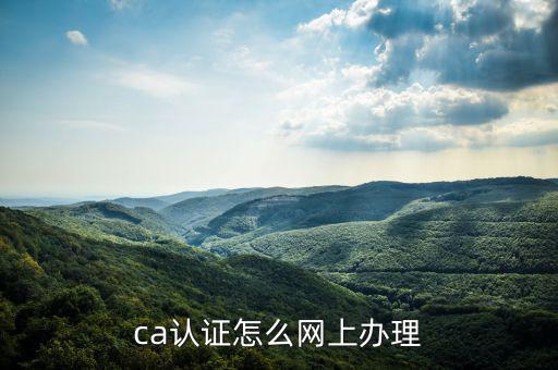 四川網(wǎng)上稅務(wù)如何ca登錄，ca證書如何登錄國稅