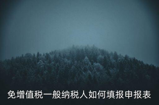 免稅如何填寫申報表，免稅企業(yè)如何填報增值稅納稅申報表