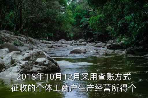 2018年10月12月采用查賬方式征收的個(gè)體工商戶生產(chǎn)經(jīng)營(yíng)所得個(gè)