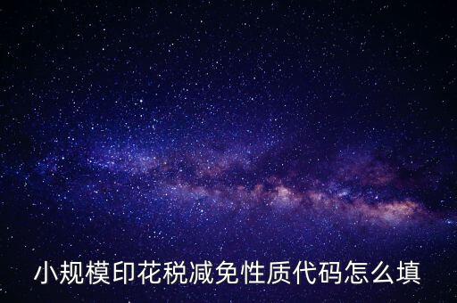 印花稅減免額 如何填寫，六稅兩費印花稅減半怎么申報