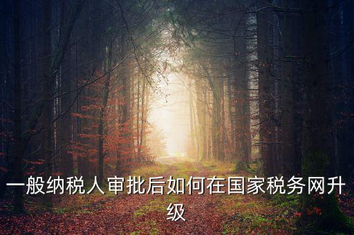 一般納稅人審批后如何在國(guó)家稅務(wù)網(wǎng)升級(jí)