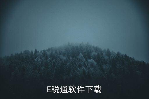 E稅通軟件下載