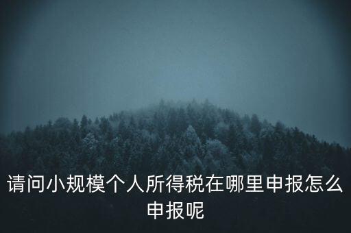 如何申報(bào)自然人兩處所得，請問小規(guī)模個(gè)人所得稅在哪里申報(bào)怎么申報(bào)呢