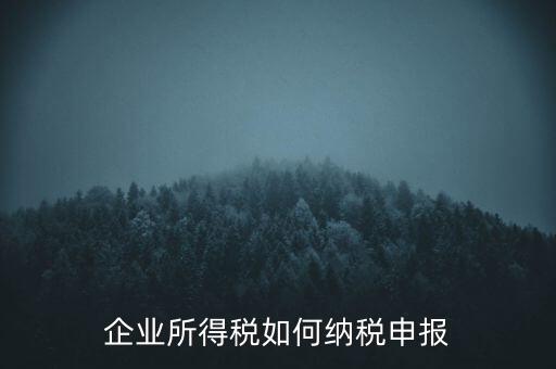 企業(yè)所得稅如何納稅申報