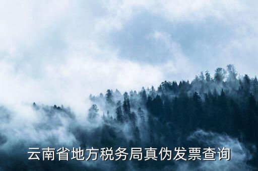 如何查詢云南國稅發(fā)票，云南省地方稅務(wù)局真?zhèn)伟l(fā)票查詢