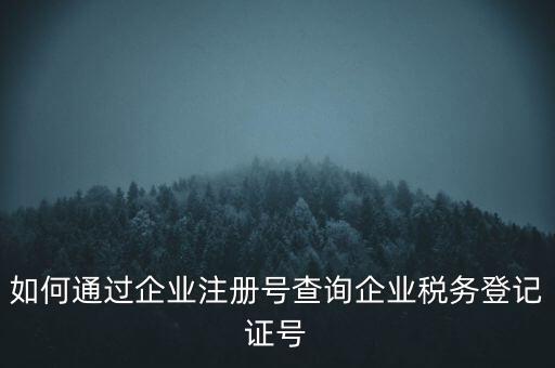 如何查詢公司稅務(wù)編號(hào)查詢系統(tǒng)，公司的稅務(wù)登記證號(hào)怎么查詢