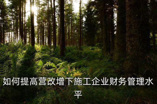 如何提高營(yíng)改增下施工企業(yè)財(cái)務(wù)管理水平