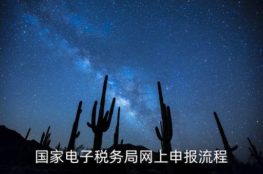 國家電子稅務(wù)局網(wǎng)上申報流程