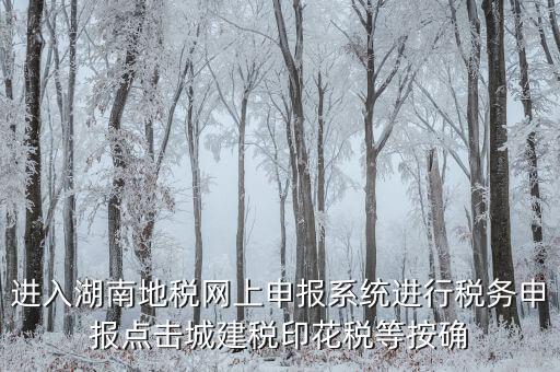 湖南省地稅局個(gè)人如何注冊(cè)，湖南地稅網(wǎng)上申報(bào)系統(tǒng)