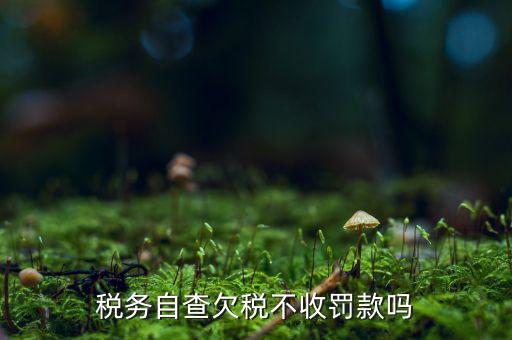 欠稅人員如何查詢，稅務(wù)自查欠稅不收罰款嗎