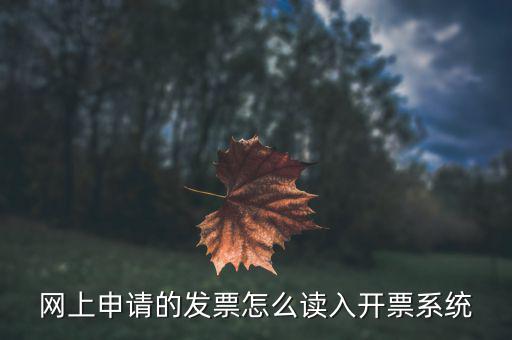 網(wǎng)上申請(qǐng)的發(fā)票怎么讀入開票系統(tǒng)