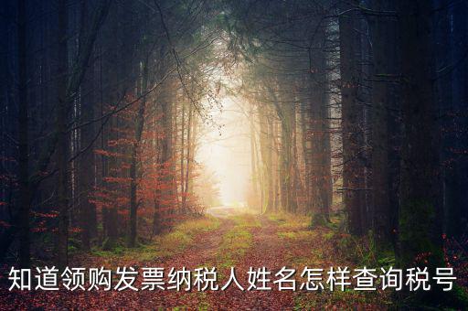 知道領(lǐng)購(gòu)發(fā)票納稅人姓名怎樣查詢稅號(hào)