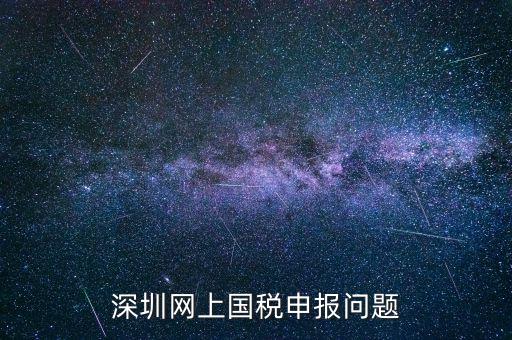 深圳網(wǎng)上國稅申報問題