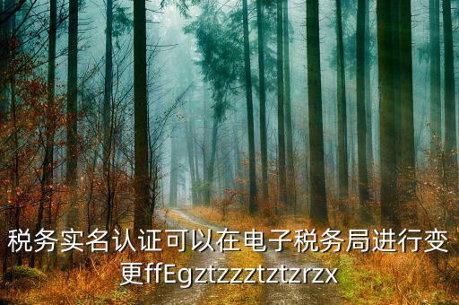 稅務(wù)實名認(rèn)證可以在電子稅務(wù)局進(jìn)行變更ffEgztzzztztzrzx