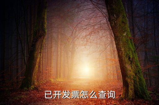 已開(kāi)發(fā)票怎么查詢